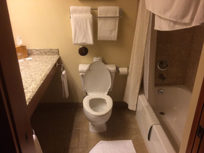 Notice location of toilet paper